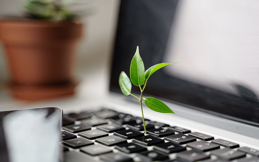 Vorschaubild gruene Softwareentwicklung